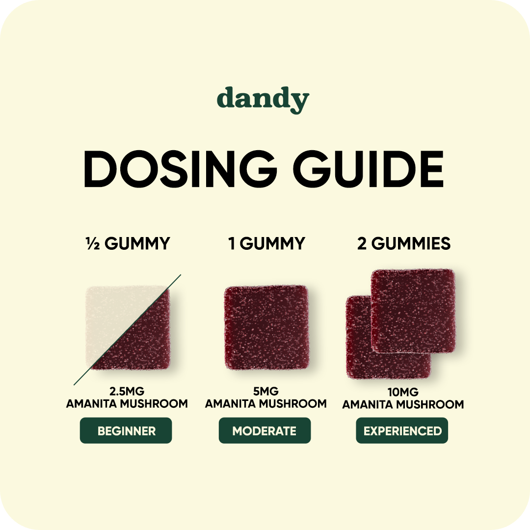 Amanita Mushroom Dosing Guide